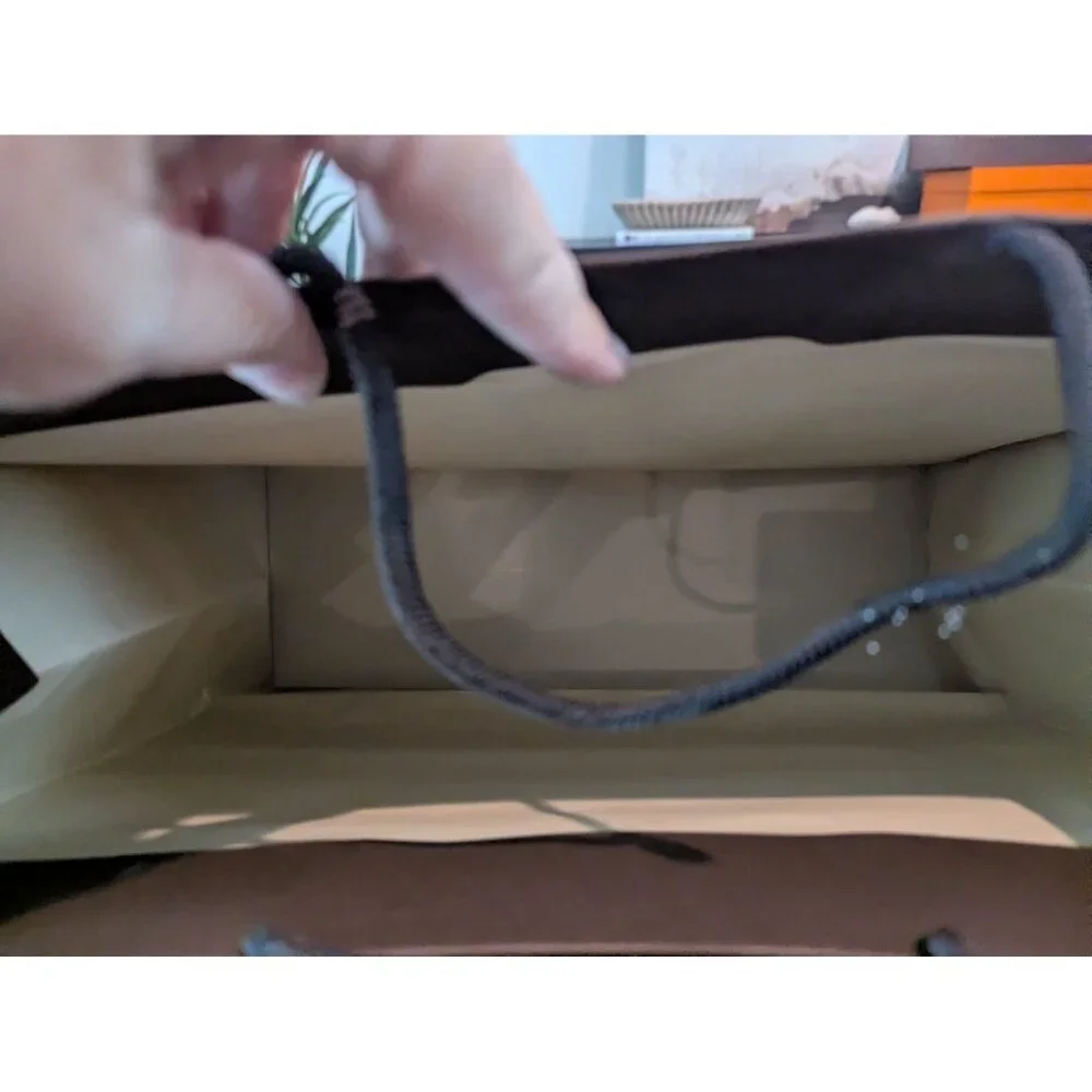 Louis Vuitton Champs-Élysées 100 Ans Brown Paper Shopping Bag W Rope Handles 16